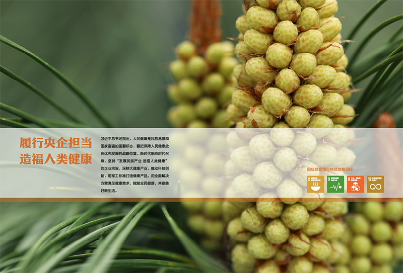 企业社会责任汇报天然